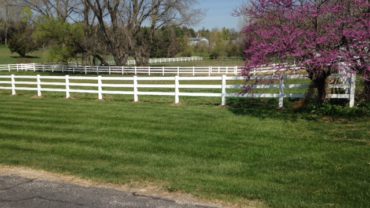 3 Rail White Vinyl Fence