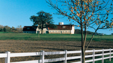 3 Rail White Vinyl Fence