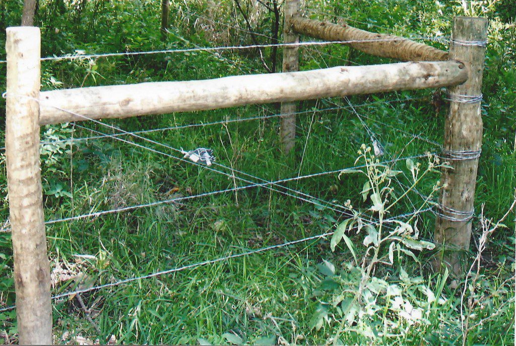 Farm Fence Acreage Fences