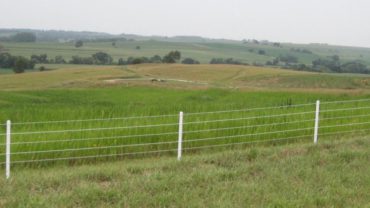 Magnificent Farm Fence