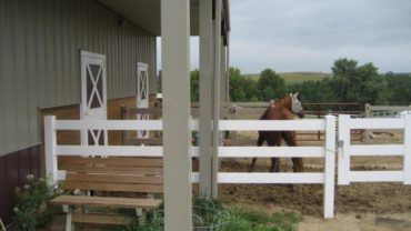 3 Rail White Vinyl Walk Gate