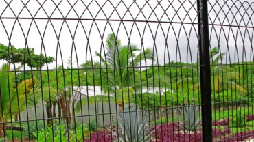 Milan Welded Wire Fence