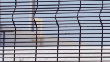 Designmaster Forte Welded Wire